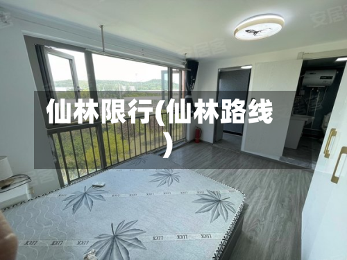 仙林限行(仙林路线)