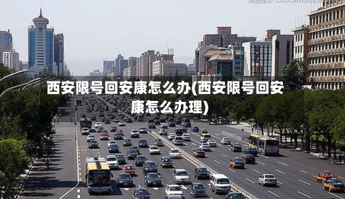 西安限号回安康怎么办(西安限号回安康怎么办理)-第3张图片
