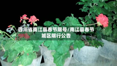 四川省南江县春节限号/南江县春节城区限行公告-第2张图片