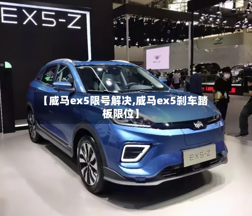 【威马ex5限号解决,威马ex5刹车踏板限位】