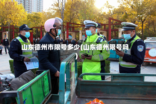 山东德州市限号多少(山东德州限号吗)-第2张图片