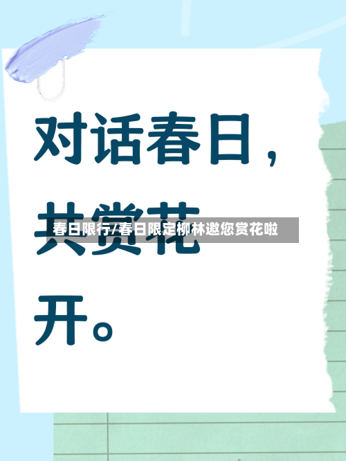 春日限行/春日限定柳林邀您赏花啦