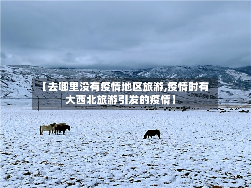 【去哪里没有疫情地区旅游,疫情时有大西北旅游引发的疫情】