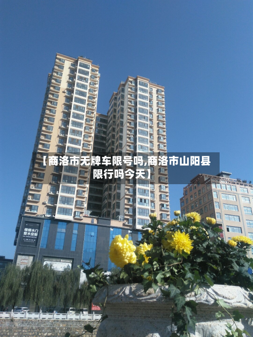 【商洛市无牌车限号吗,商洛市山阳县限行吗今天】-第2张图片