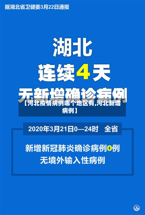 【河北疫情病例哪个地区有,河北新增病例】-第3张图片