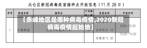 【赤峰地区是哪种病毒疫情,2020新冠病毒疫情起始地】-第2张图片