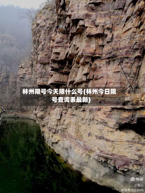 林州限号今天限什么号(林州今日限号查询表最新)