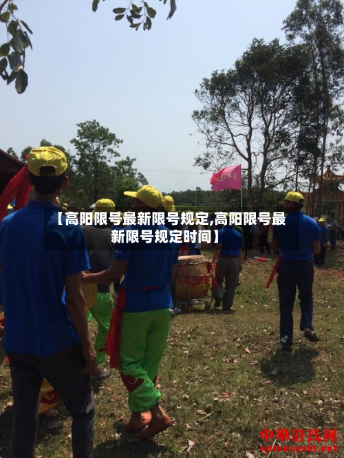 【高阳限号最新限号规定,高阳限号最新限号规定时间】
