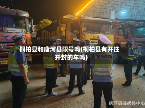 桐柏县和唐河县限号吗(桐柏县有开往开封的车吗)-第2张图片