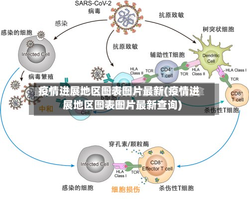 疫情进展地区图表图片最新(疫情进展地区图表图片最新查询)-第3张图片