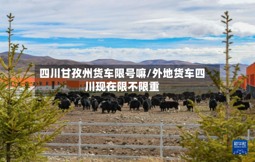 四川甘孜州货车限号嘛/外地货车四川现在限不限重