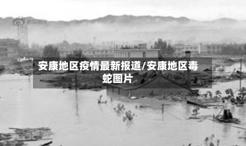 安康地区疫情最新报道/安康地区毒蛇图片-第2张图片