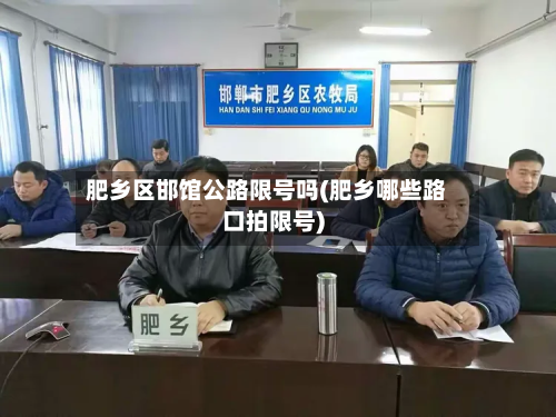 肥乡区邯馆公路限号吗(肥乡哪些路口拍限号)