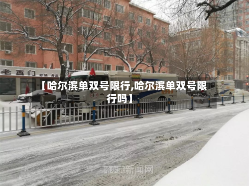【哈尔滨单双号限行,哈尔滨单双号限行吗】-第2张图片
