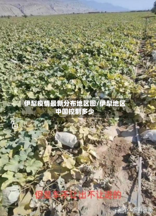 伊犁疫情最新分布地区图/伊犁地区中国控制多少-第3张图片