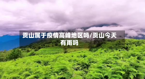 贡山属于疫情高峰地区吗/贡山今天有雨吗-第2张图片