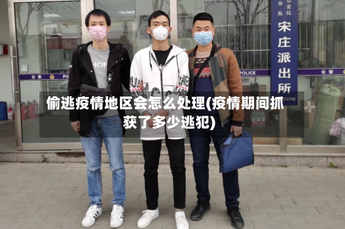 偷逃疫情地区会怎么处理(疫情期间抓获了多少逃犯)-第2张图片