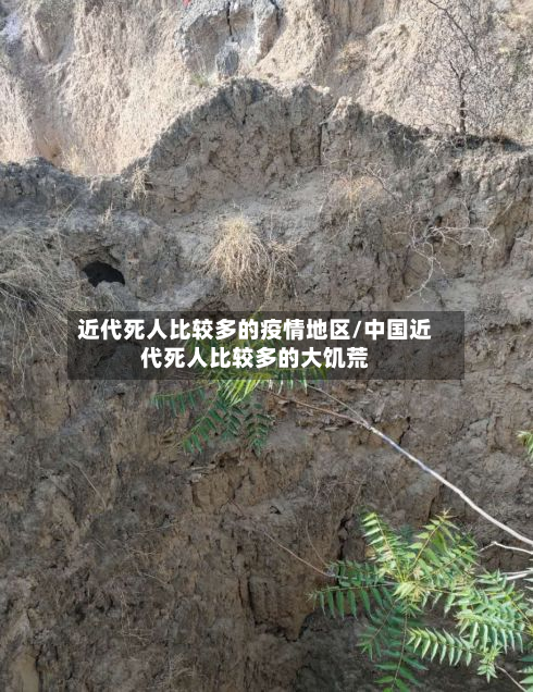 近代死人比较多的疫情地区/中国近代死人比较多的大饥荒-第2张图片