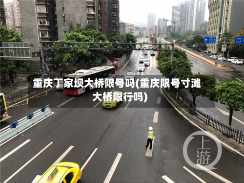 重庆丁家坝大桥限号吗(重庆限号寸滩大桥限行吗)