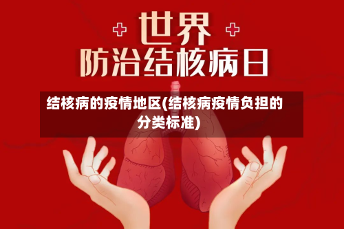 结核病的疫情地区(结核病疫情负担的分类标准)-第2张图片