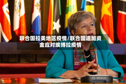 联合国拉美地区疫情/联合国追加资金应对埃博拉疫情