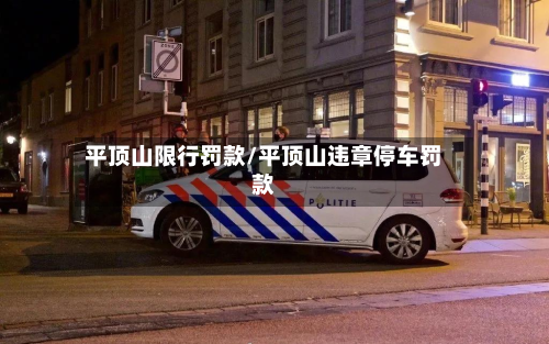 平顶山限行罚款/平顶山违章停车罚款-第2张图片