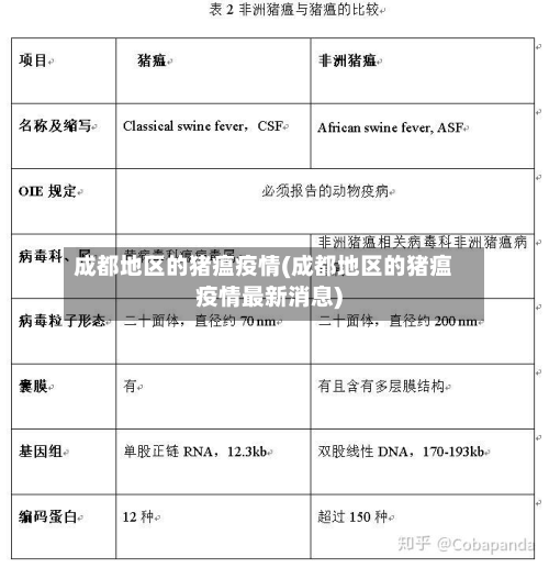 成都地区的猪瘟疫情(成都地区的猪瘟疫情最新消息)
