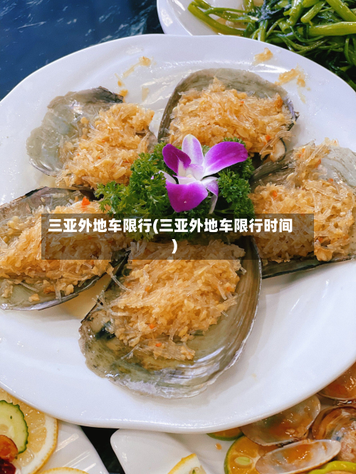三亚外地车限行(三亚外地车限行时间)-第2张图片