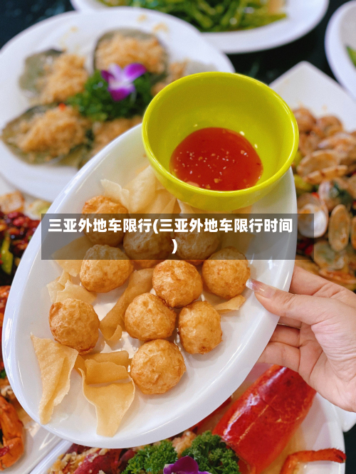 三亚外地车限行(三亚外地车限行时间)