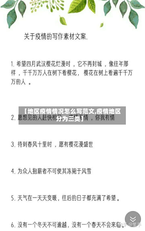 【地区疫情情况怎么写范文,疫情地区分为三类】-第2张图片