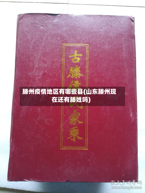 滕州疫情地区有哪些县(山东滕州现在还有滕姓吗)-第2张图片