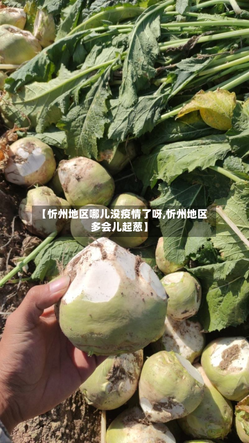 【忻州地区哪儿没疫情了呀,忻州地区多会儿起葱】-第2张图片