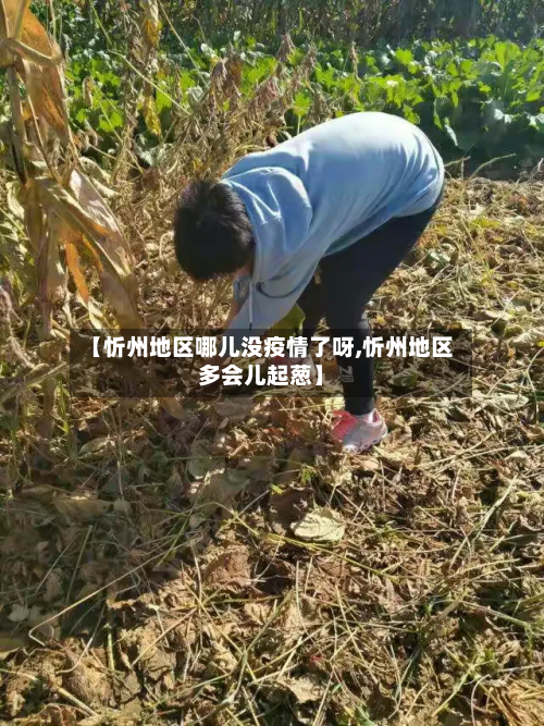 【忻州地区哪儿没疫情了呀,忻州地区多会儿起葱】