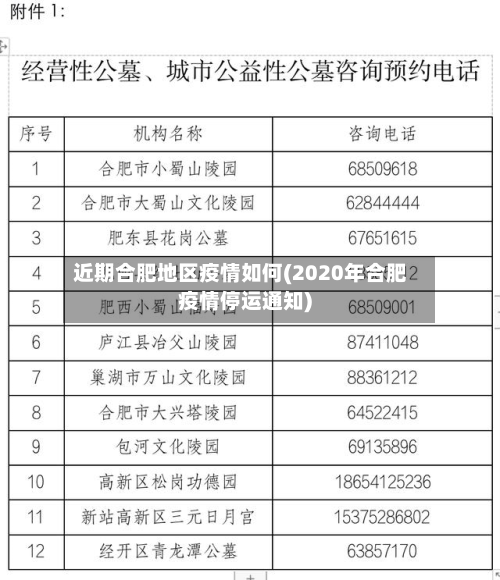 近期合肥地区疫情如何(2020年合肥疫情停运通知)-第2张图片