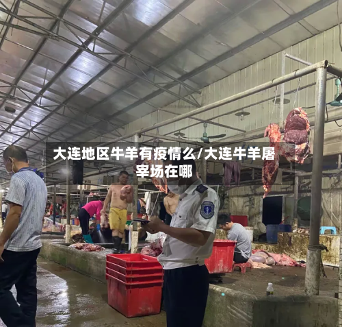 大连地区牛羊有疫情么/大连牛羊屠宰场在哪