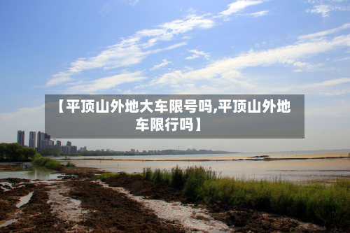 【平顶山外地大车限号吗,平顶山外地车限行吗】-第2张图片