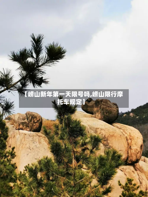 【崂山新年第一天限号吗,崂山限行摩托车规定】-第2张图片