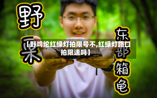 【野鸡坨红绿灯拍限号不,红绿灯路口拍限速吗】-第3张图片