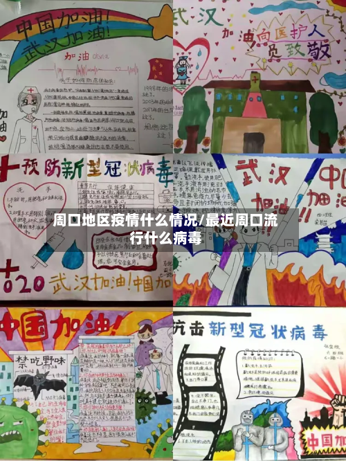 周口地区疫情什么情况/最近周口流行什么病毒-第2张图片