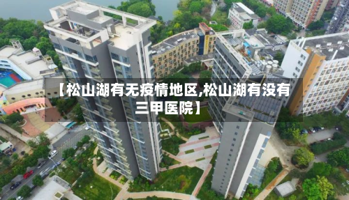 【松山湖有无疫情地区,松山湖有没有三甲医院】-第3张图片