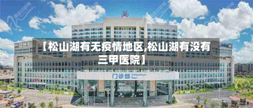 【松山湖有无疫情地区,松山湖有没有三甲医院】