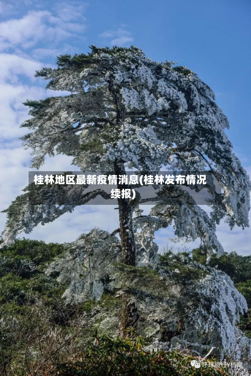 桂林地区最新疫情消息(桂林发布情况续报)-第3张图片