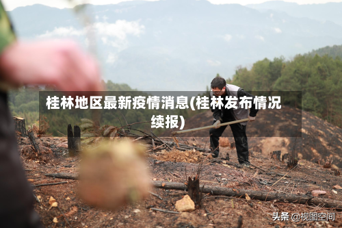 桂林地区最新疫情消息(桂林发布情况续报)-第2张图片