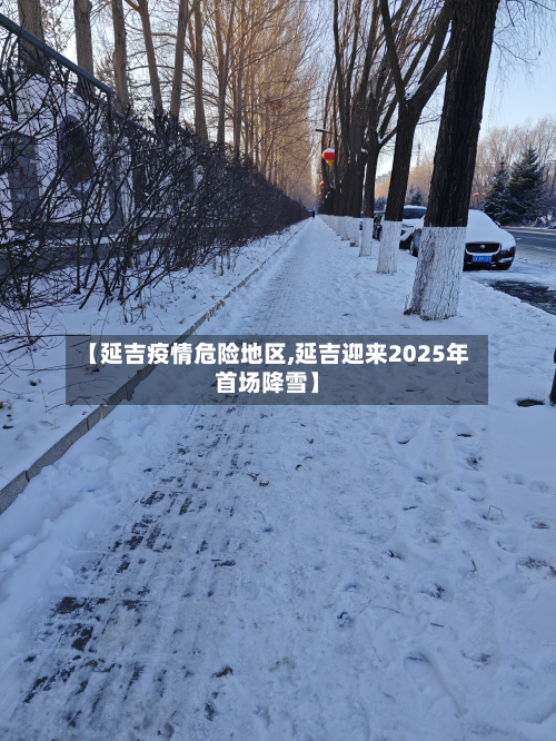 【延吉疫情危险地区,延吉迎来2025年首场降雪】-第2张图片