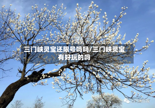 三门峡灵宝还限号吗吗/三门峡灵宝有好玩的吗-第2张图片