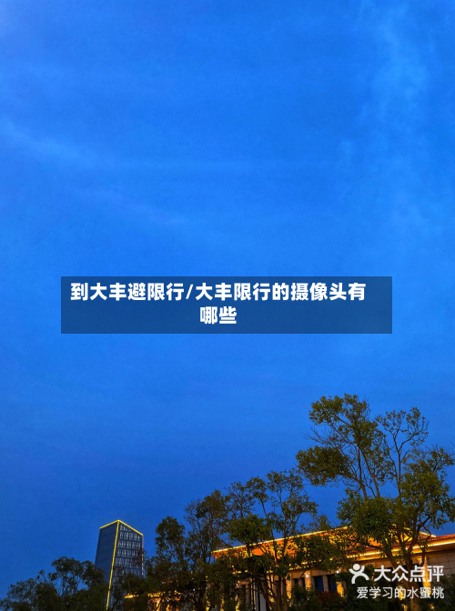 到大丰避限行/大丰限行的摄像头有哪些-第3张图片