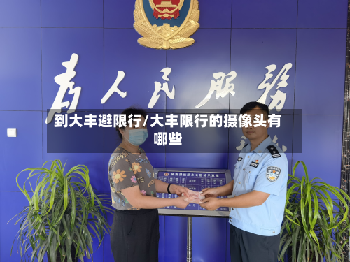 到大丰避限行/大丰限行的摄像头有哪些