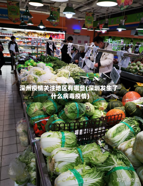 深州疫情关注地区有哪些(深圳发生了什么病毒疫情)-第2张图片