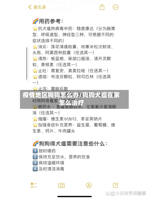 疫情地区狗狗怎么办/狗狗犬瘟在家怎么治疗