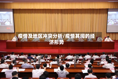 疫情及地区冲突分析/疫情其间的经济形势